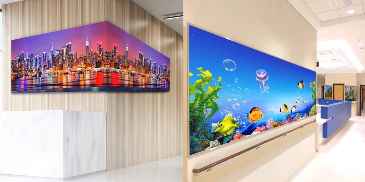 PIXON TECHNOLOGIES Premium Indoor OLED Display